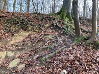 Bikepark FAULX WAGON DH