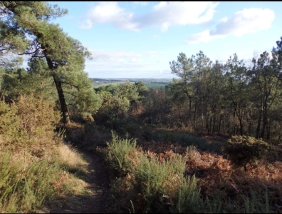 Enduro Crazy Wood VTT Bignan