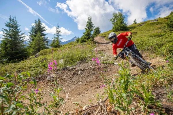 Bikepark Courchevel