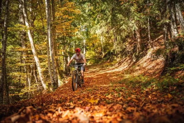 XC Rando - VTTAE Alex