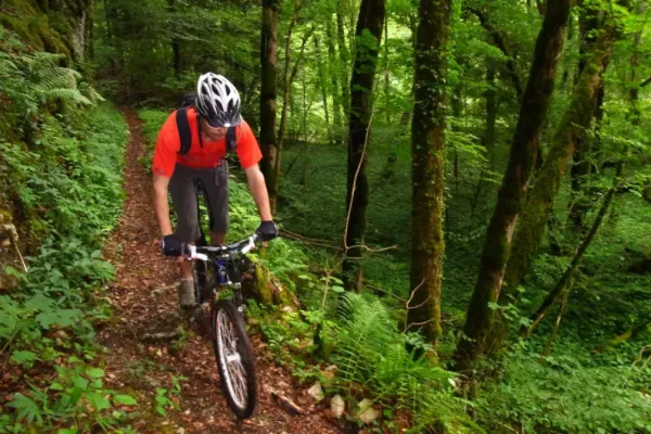 XC Rando - VTTAE Bréchaumont