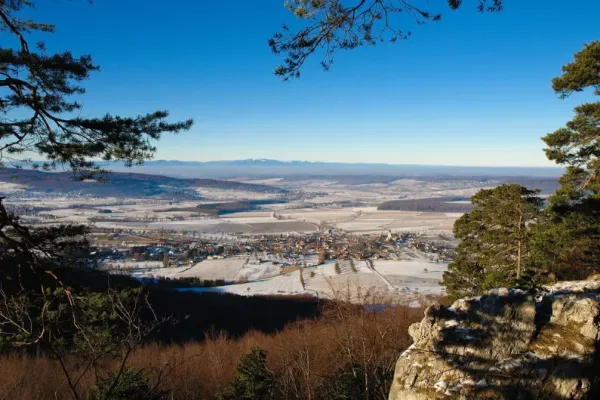 XC Rando - VTTAE Ferrette