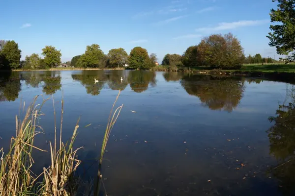 XC Rando - VTTAE Friesen