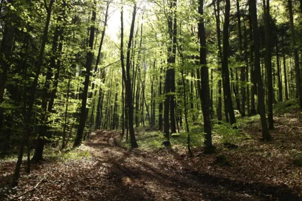 XC Rando - VTTAE Hirsingue