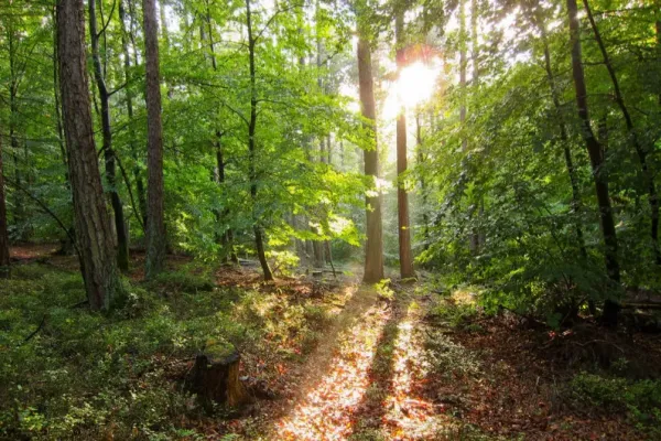 XC Rando - VTTAE Koestlach