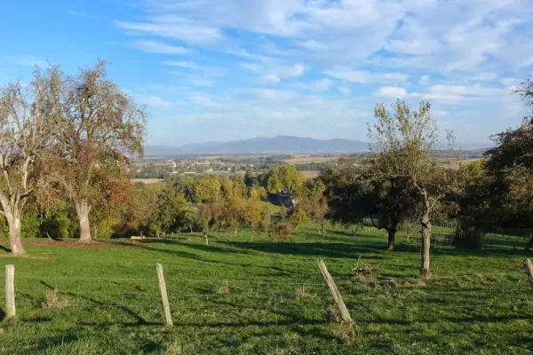 XC Rando - VTTAE Tagolsheim