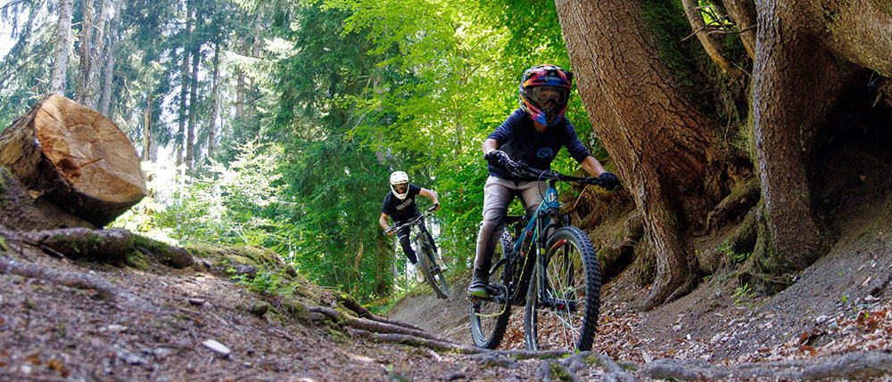 Copyright : Nico Joly